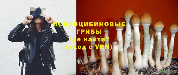 амф Алексин
