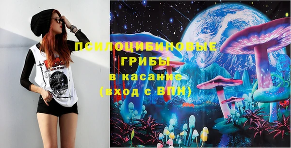 амф Алексин
