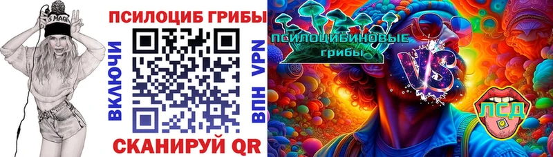 Псилоцибиновые грибы мицелий Дно