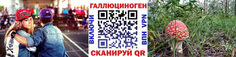 Галлюциногенные грибы MAGIC MUSHROOMS  где купить наркоту  Дно 